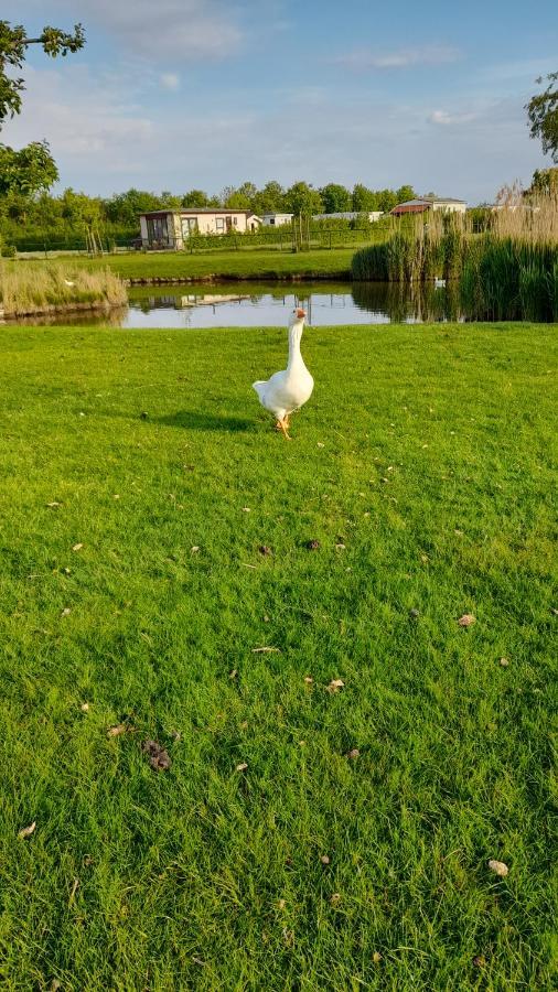 Вилла 'T Blauwtje Baarland Экстерьер фото